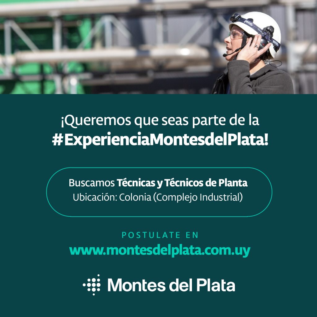 oportunidad laboral montes del plata